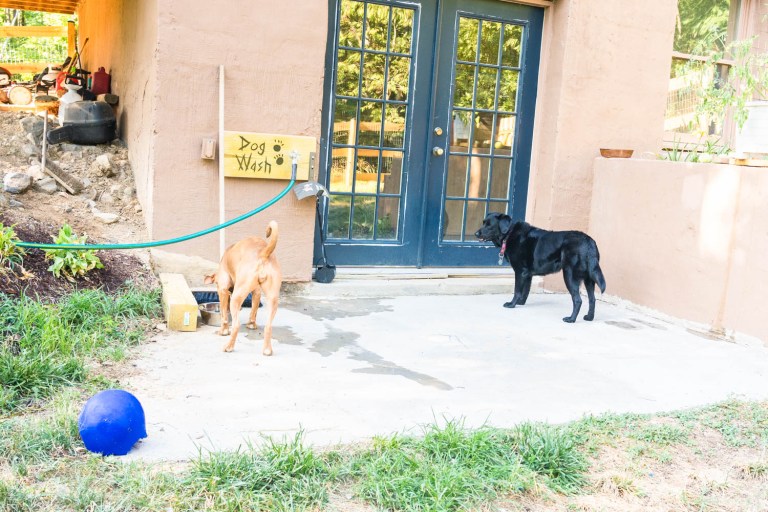 Pictures of Chateau Frankie Shenandoah Dog Friendly Rentals